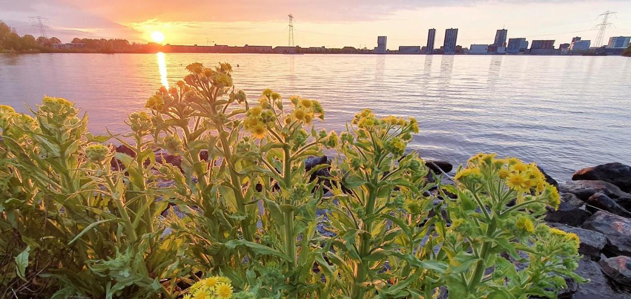 Inntermezzo Almere Buitenkant foto