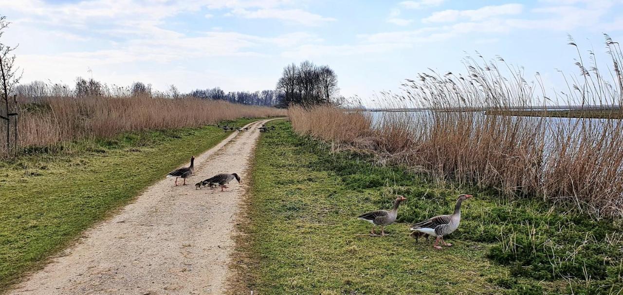 Inntermezzo Almere Buitenkant foto
